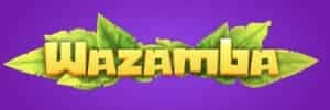 777win com